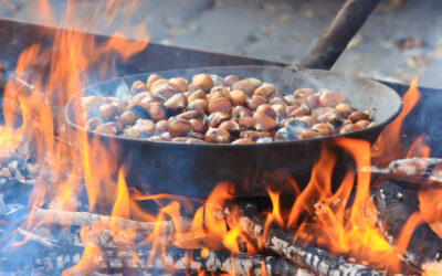 Pasturana in Festa: weekend di San Martino tra tradizione, gusto e sport