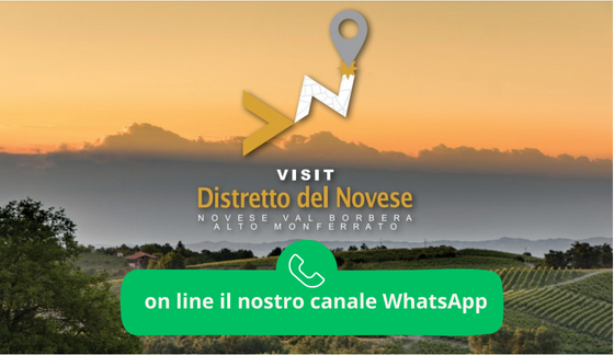 Il Distretto del Novese lancia il canale WhatsApp